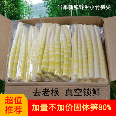 餐饮商用清水小竹笋野生新鲜笋尖罗汉笋方竹笋整根嫩脆江西乐安