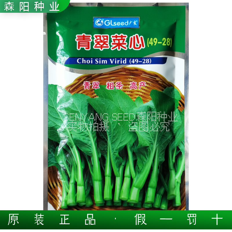 广良青翠菜心49-28耐热耐湿广东