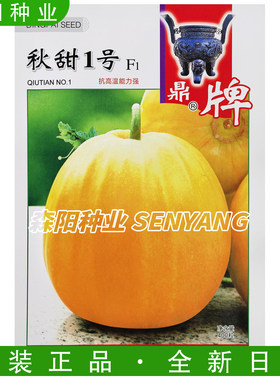 鼎牌秋甜1号秋季甜瓜种子中早熟