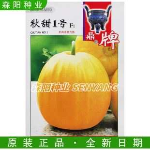 鼎牌秋甜1号甜瓜种子中早熟特耐高温哈密香瓜高产高甜海南丑八怪