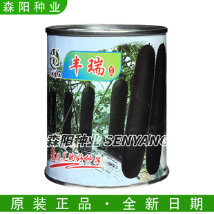 华州农业丰瑞冬瓜种子中熟长条黑皮冬瓜墨地龙黑铁路长炮弹冬瓜种