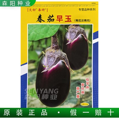 春研春茄早玉极早熟茄子青底青肉