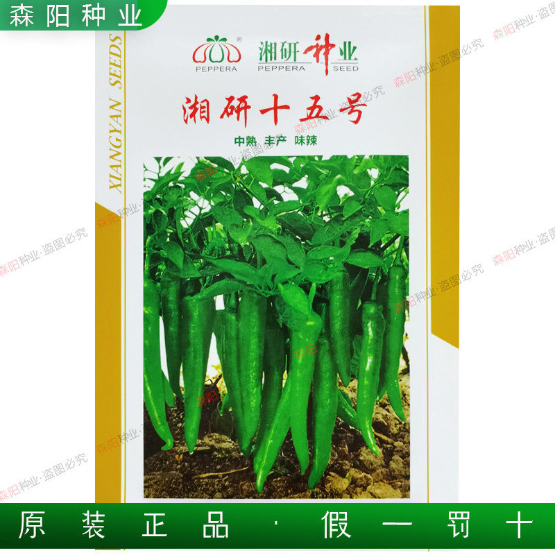 湘研十五号辣椒种子籽春秋两用香辣牛角椒55号基地辣椒种籽大全15