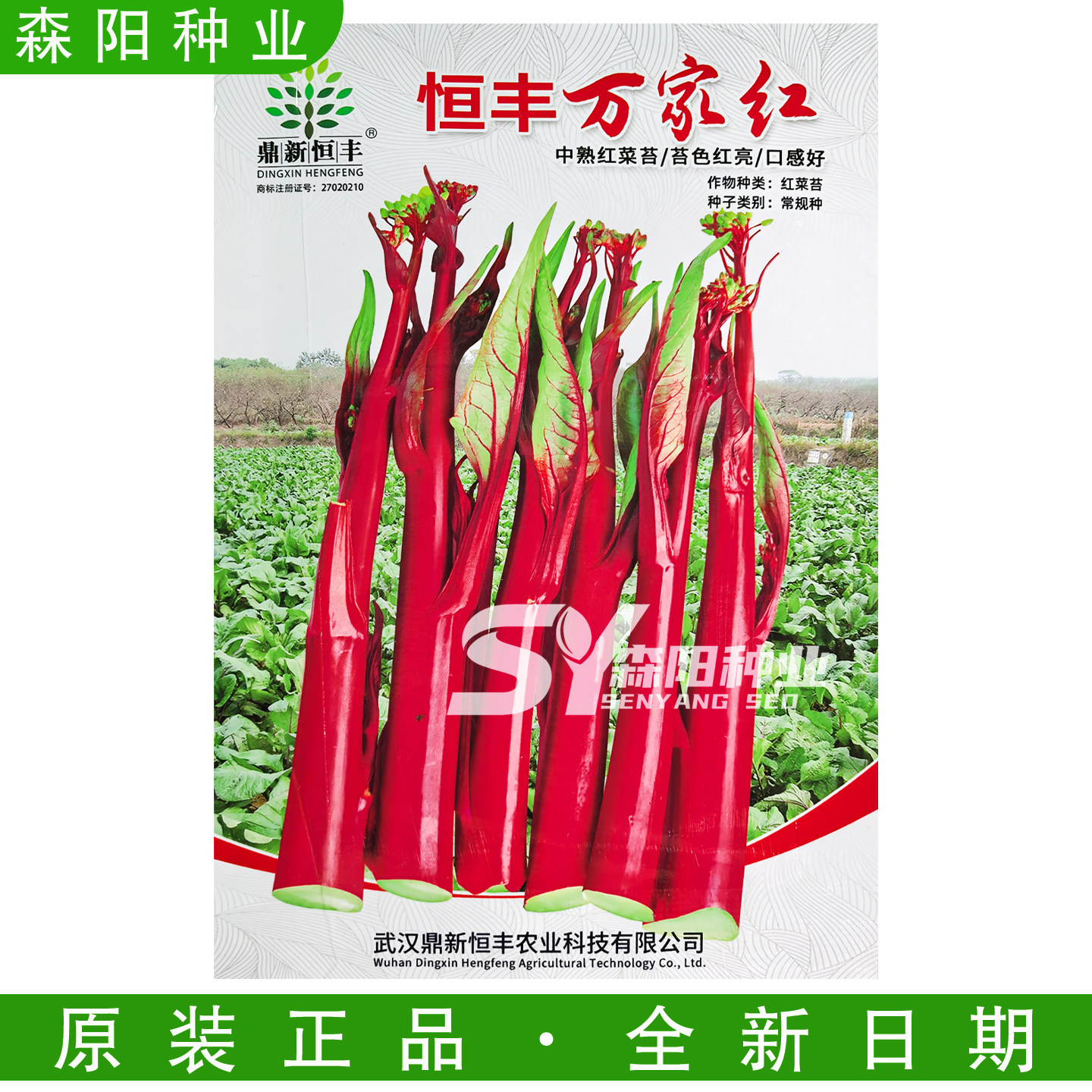 恒丰万家红中熟红菜苔种子清甜