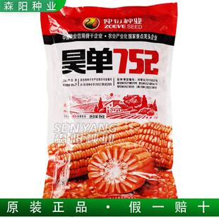 仲衍昊单752玉米杂交种白轴圆筒形春播大田玉米粘玉米饲料玉米种