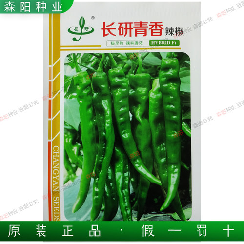 长研清香辣椒种子极早熟辣味香浓