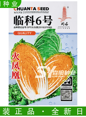 川塔临科6号火凤凰大白菜种子75天黄心白菜傲雪矮虎桔红色大白菜