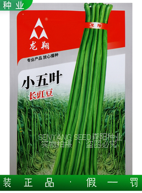 龙翔小五叶长豇豆种子早中熟春秋季菜豆夏之恋豆角久久艳阳龙丰99