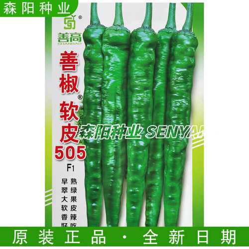 善椒软皮505辣椒种子早熟翠绿