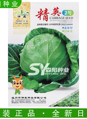 神鹿精英2号甘蓝种子早熟甜脆
