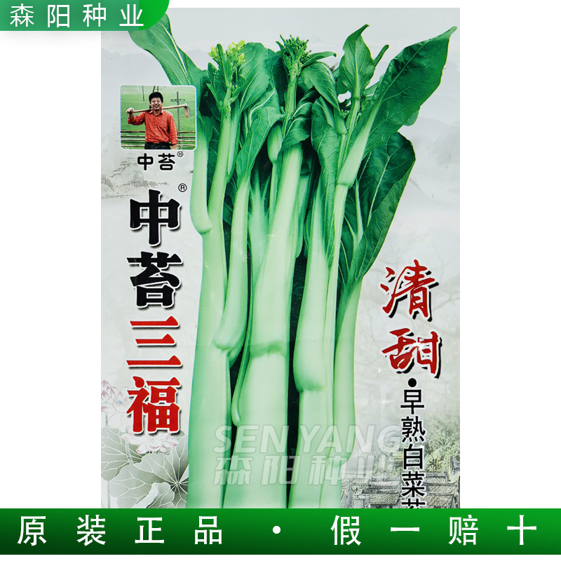 中苔三福清甜早熟白菜苔种子白苔65甜脆菜心种籽秋冬蔬菜种籽大全