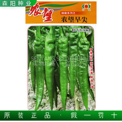 农望早尖辣椒种子软皮2307早熟