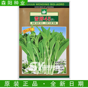雪婷45极早熟白菜苔种子抗病高产耐寒耐热甜菜心60文鼎雪婷80雅婷