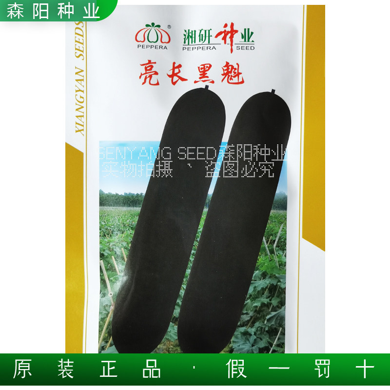 湘研亮长黒魁冬瓜种子杂交墨宝黑皮冬瓜墨地龙台湾黑炮弹铁心冬瓜