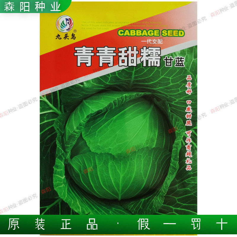 九头鸟青青甜糯甘蓝种子70天早中熟扁球甘蓝奥奇娜寒将军包菜种籽