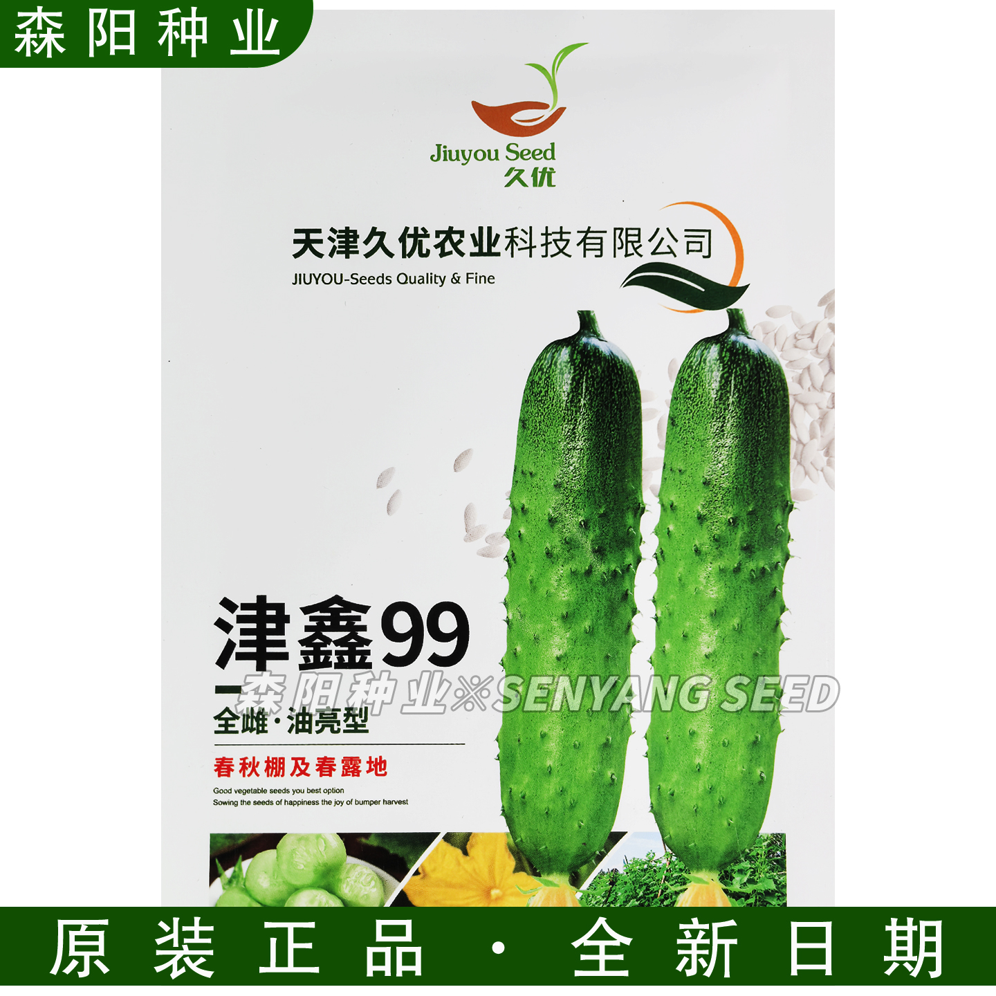 久优津鑫99水果黄瓜种子