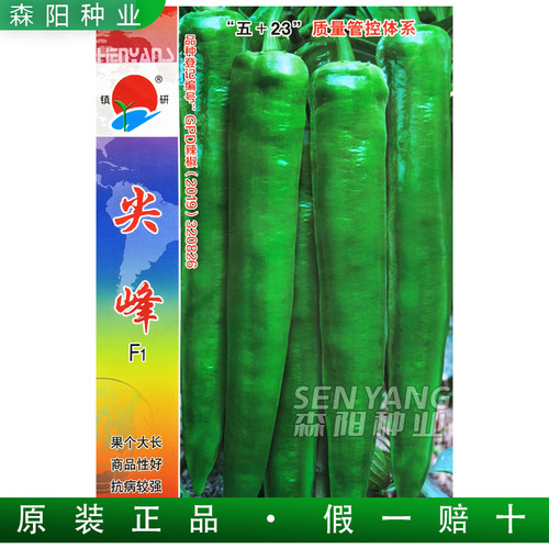 镇研尖峰辣椒种子大果牛角椒品种