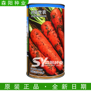时田世农胡萝卜种子精选三红七寸参耐热高产适应性广秋季大田蔬菜