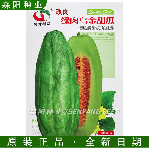 万井改良绿肉乌金甜瓜种子籽早熟