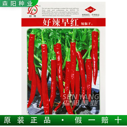 好特好辣早红辣椒种早熟青红尖椒
