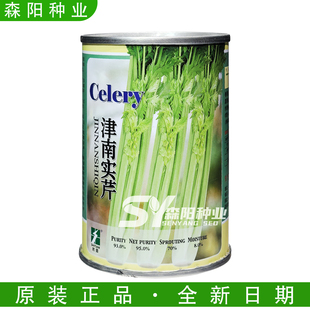 时田津南实芹种子耐热耐寒纤维少春秋种植小香芹文图拉高产抽苔晚