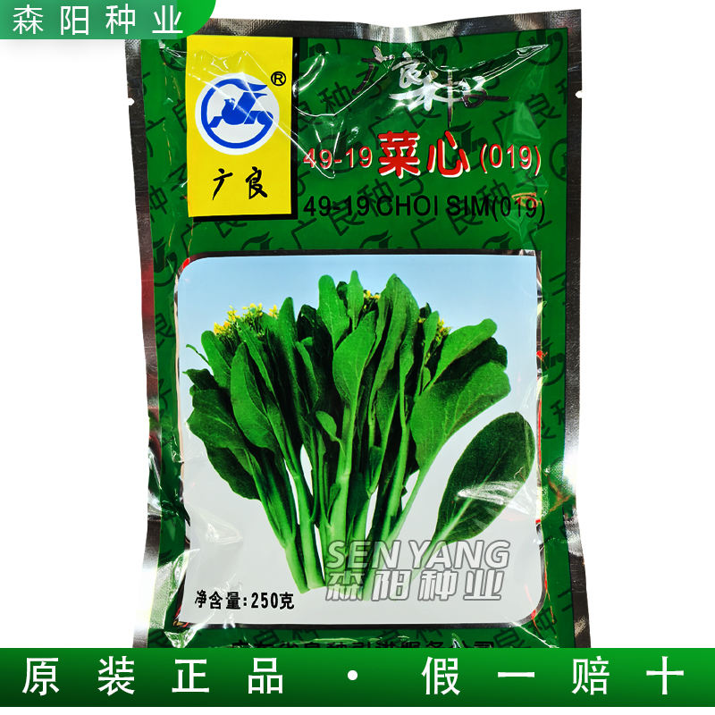 广良49-19菜心早熟耐热抗病