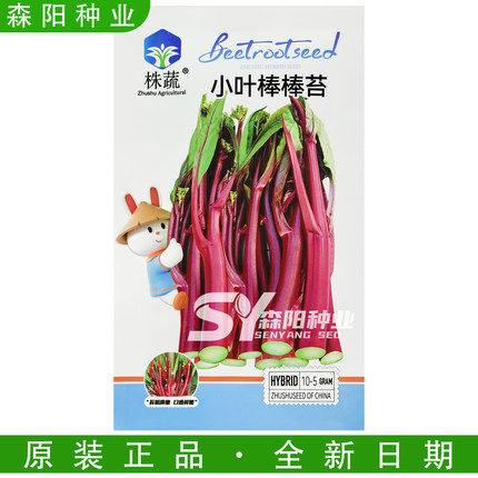 株蔬小叶棒棒苔红菜苔种子45天杂交亮洪菜心侧苔多秋冬季万紫千红