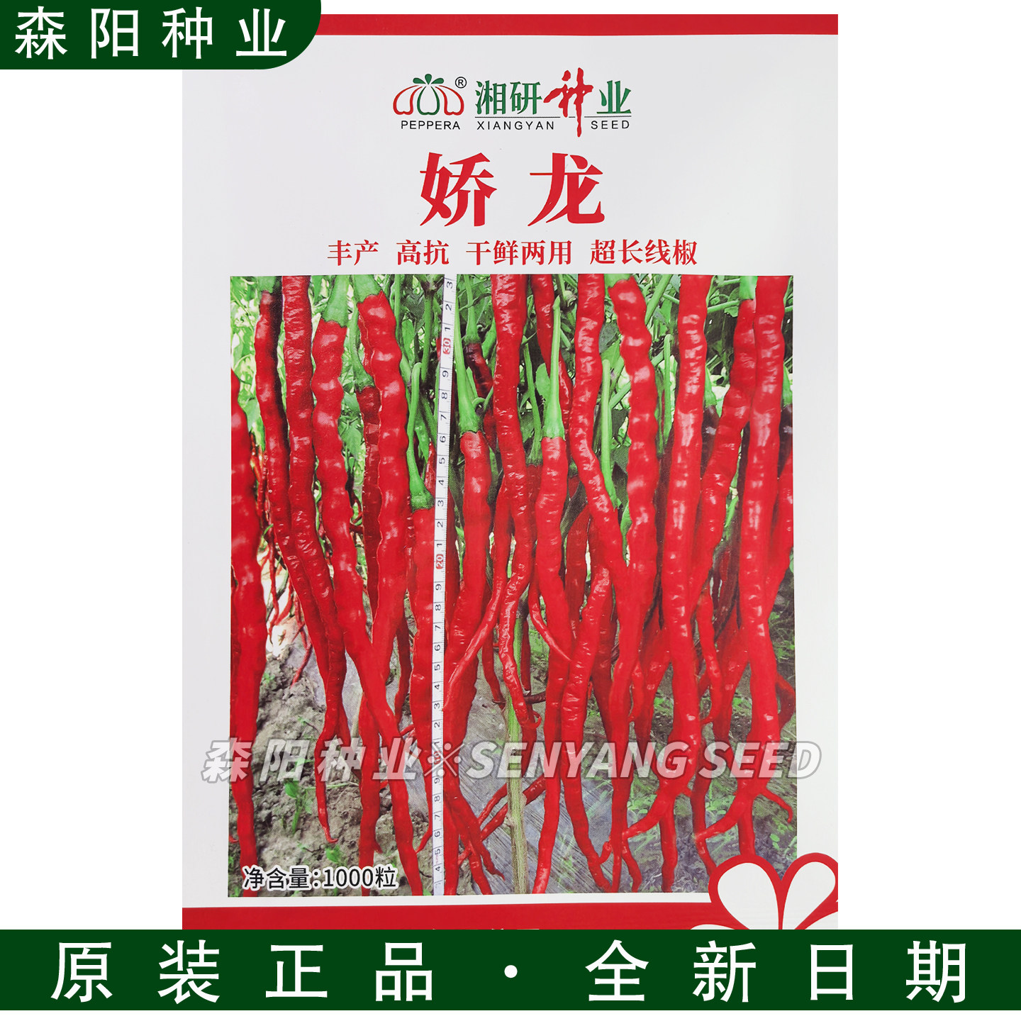 高产抗病干鲜两用特辣基地