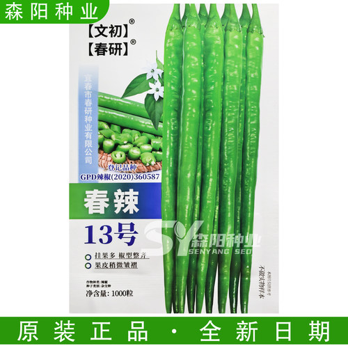 春研春辣13号早熟特辣辣椒种子