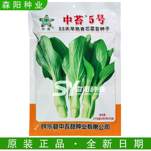 中苔5号白菜苔种子抗病高产