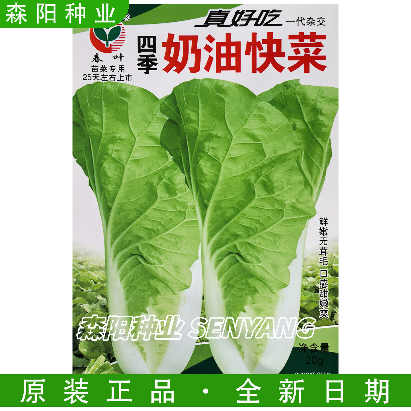 春叶四季奶油快菜种子早熟耐热小白菜德高536阳台盆栽蔬菜长江5号