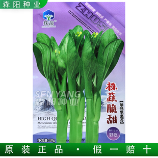 株蔬甜脆白菜苔种子早熟耐热雪婷45苔多多秋冬季油亮菜心中苔三福