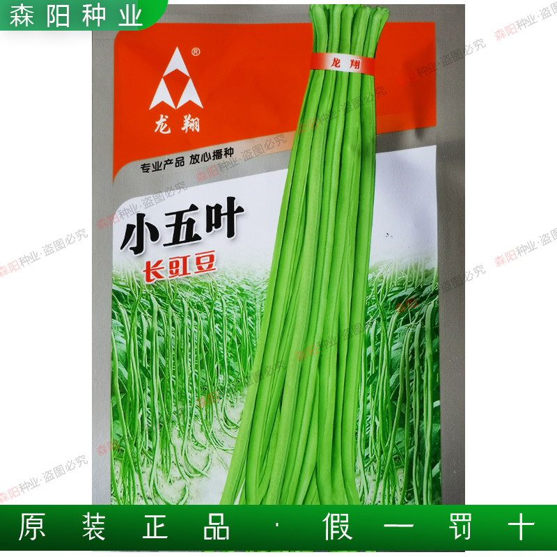 龙翔小五叶长豇豆种子早中熟高产抗病春秋季四季豆青豆角基地菜豆