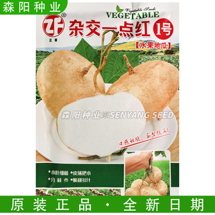 正富杂交一点红水果地瓜凉薯种子小叶细藤牧马山凉薯早熟川早一号