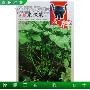 鼎牌青脆东汉菜种子秋冬季糯米冬苋菜阳台盆栽蔬菜冬葵高钙农家菜