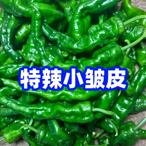 新客立减】小辣椒新鲜农家皱皮薄皮土辣椒青椒炒辣子鸡薄皮蔬菜