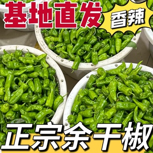 5斤正宗江西余干小辣椒新鲜农家余干枫树薄皮土辣椒1斤青椒特蔬菜