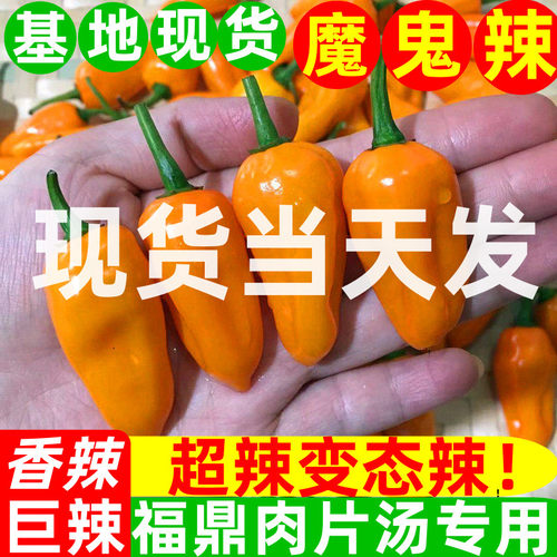 魔鬼辣椒超辣永安黄椒灯笼椒小米泡椒朝天椒正宗变态特辣新鲜农家 - 封面
