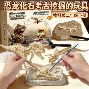 恐龙化石骨架模型儿童考古挖掘玩具教科版二年级下册套装科学学具