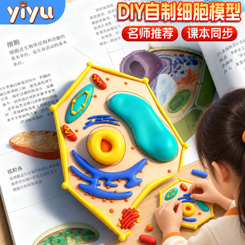 动植物细胞模型DIY手工制作