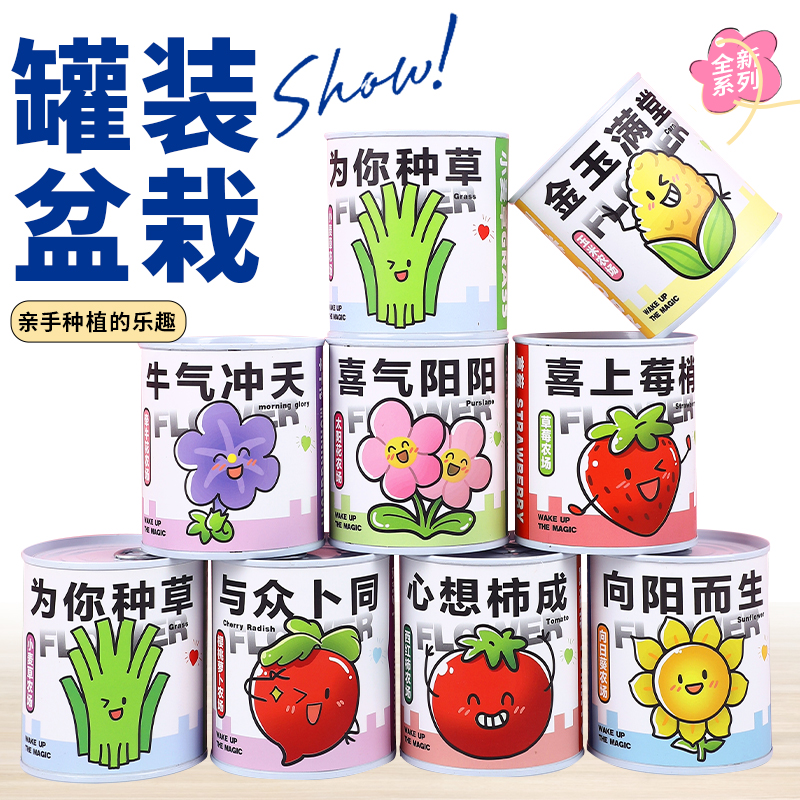 植物盆栽生日创意礼品小学生植物儿童伴手礼幼儿园奖品实用小礼品