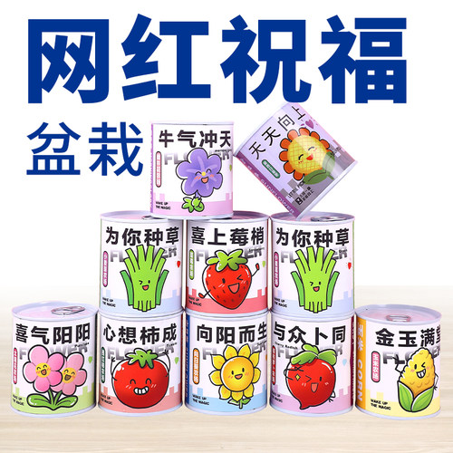 提升生活幸福感水果花卉客厅