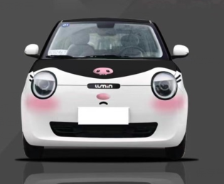 适用于长安糯玉米五菱宏光MINIGB库洛米腮红车身贴奇瑞冰淇淋科莱