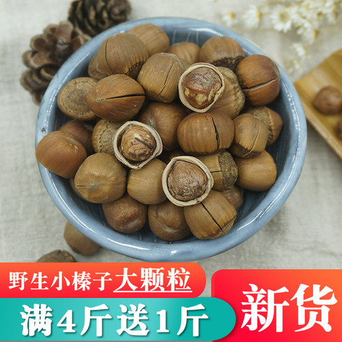 东北野生手拍小榛子新货500g包邮