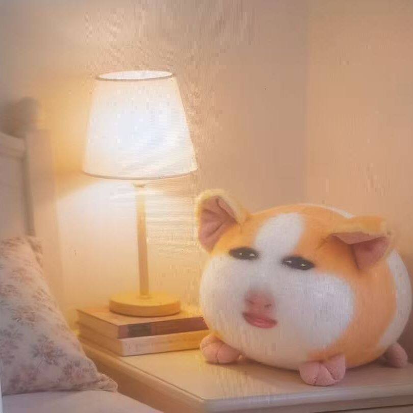 丑萌猪妞荷兰猪搞笑毛绒玩具公仔创意玩偶抱枕送女生生日礼物娃娃