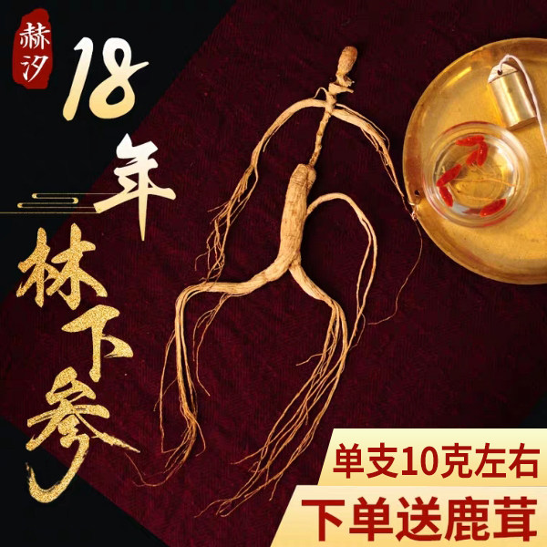 野生林下参18年干参高档长白山林下参东北生晒参人参单支10克左右