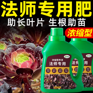 法师专用肥多肉肥料盆栽营养液复合有机植物家庭园艺增色生根花肥
