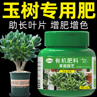 玉树专用肥料盆栽有机肥复合营养液花肥缓释家用通用型花卉绿植土