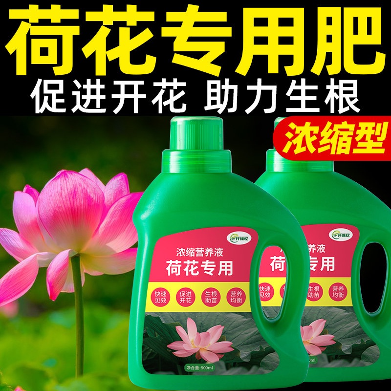 荷花专用肥水培植物营养液碗莲睡莲开花莲藕盆栽水养莲花水溶肥料