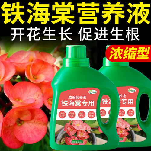 铁海棠专用肥花麒麟肥料番仔刺营养液番仔树虎刺梅颗粒花肥复合肥